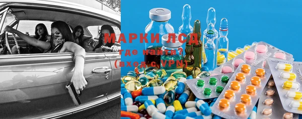 ешки Белокуриха