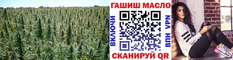 ТГК Wax  ОМГ ОМГ ССЫЛКА  Бородино  купить закладку 